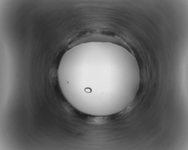 X0000083550184200703091602