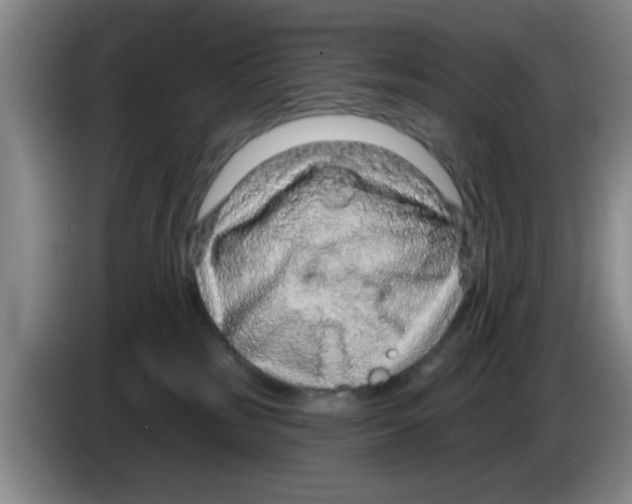 X0000083550185200703091602