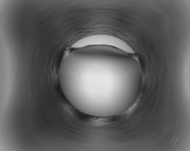 X0000083550186200703091602