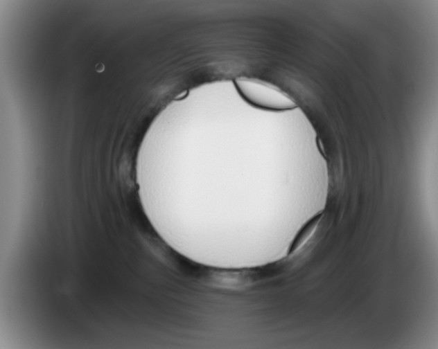 X0000083550187200703091602