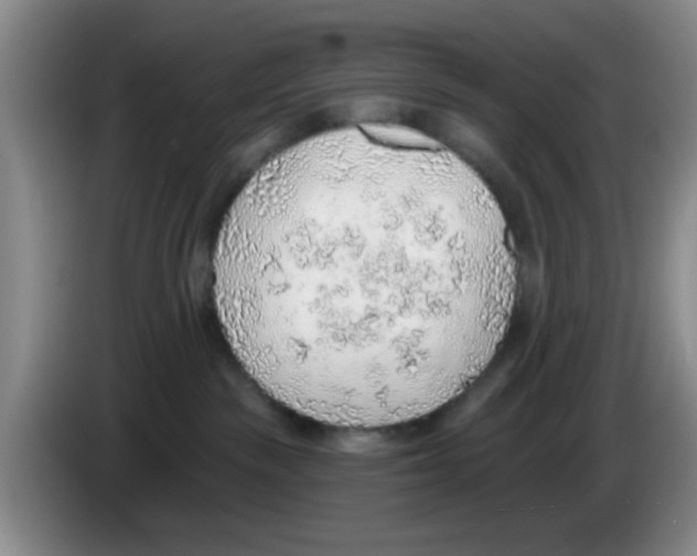 X0000083550189200703091602