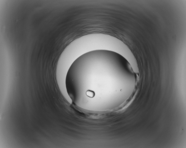 X0000083550190200703091602