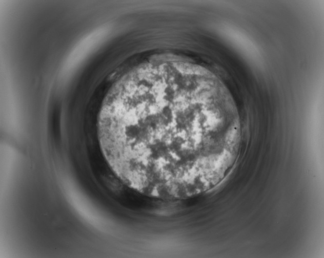 X0000083550191200703091602
