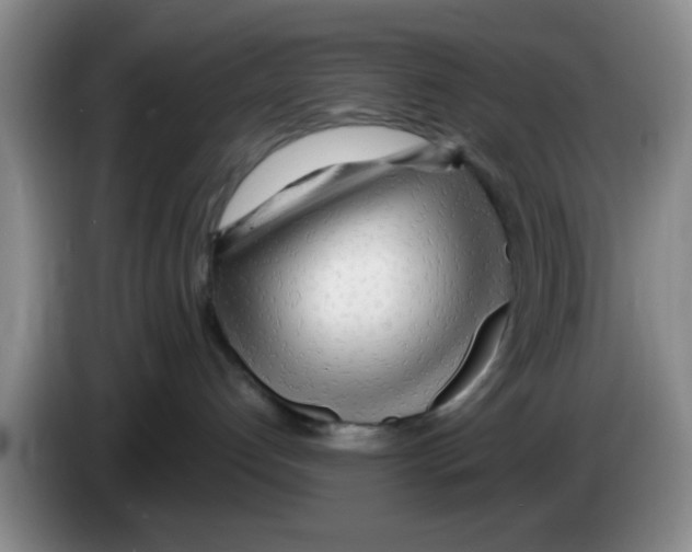 X0000083550192200703091602
