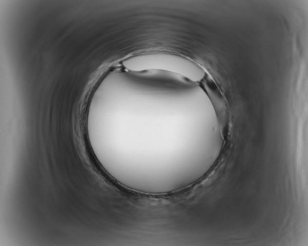 X0000083550193200703091602