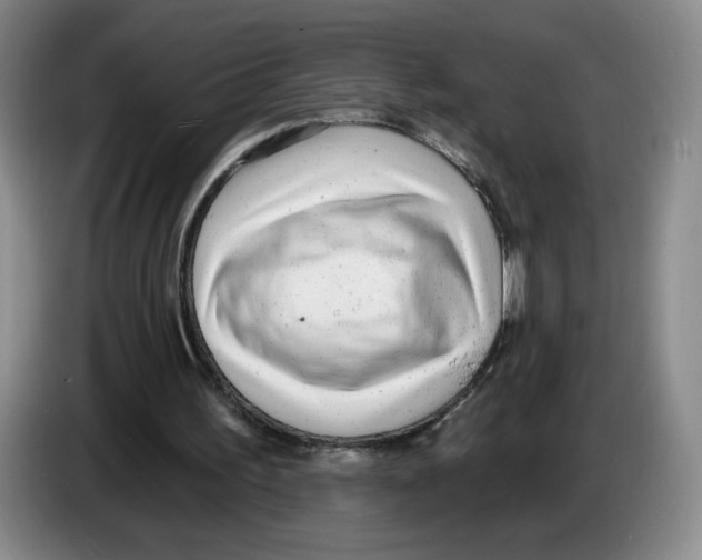 X0000083550195200703091602