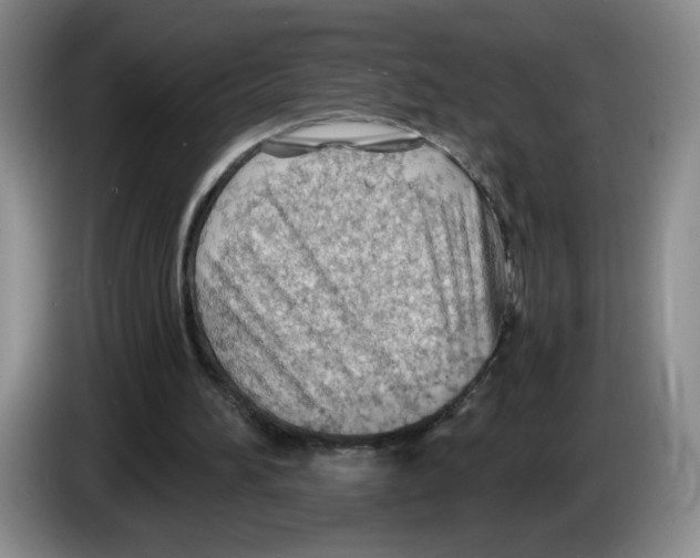 X0000083550196200703091602