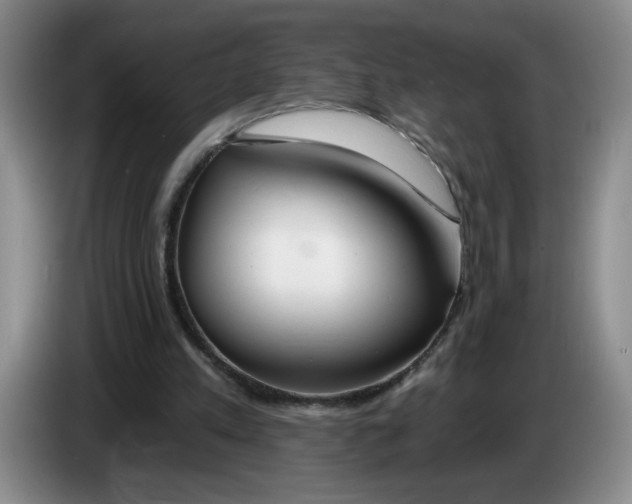 X0000083550197200703091602