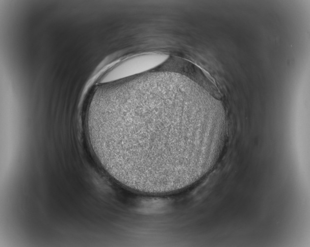 X0000083550198200703091601