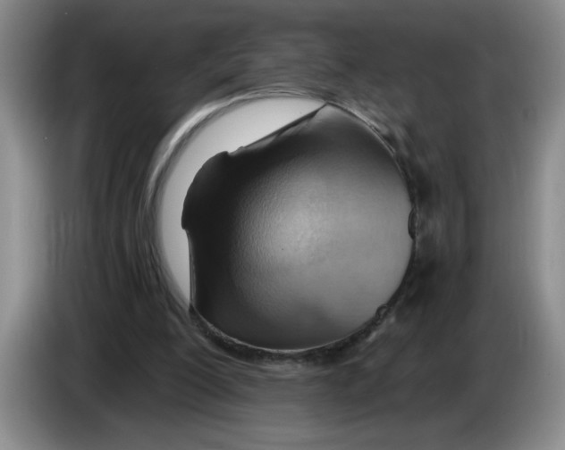 X0000083550200200703091601