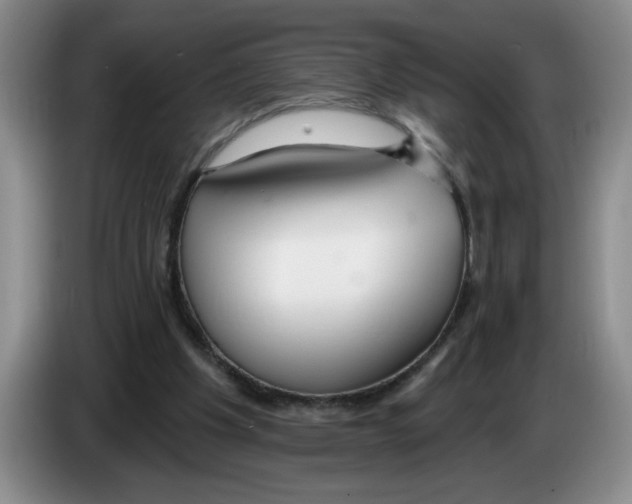 X0000083550201200703091601