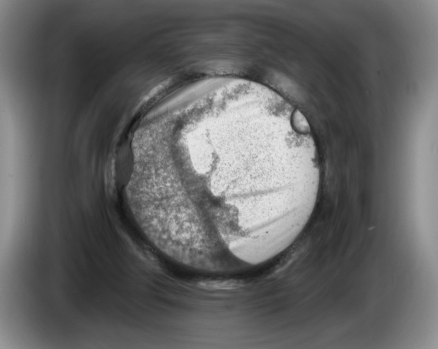 X0000083550202200703091601