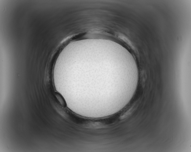 X0000083550203200703091601