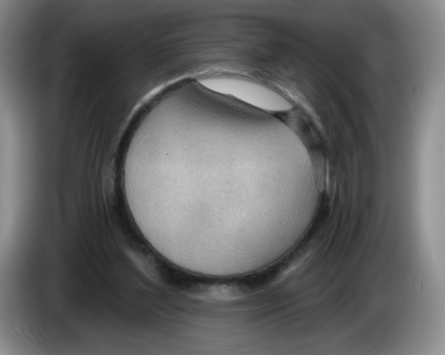 X0000083550204200703091601