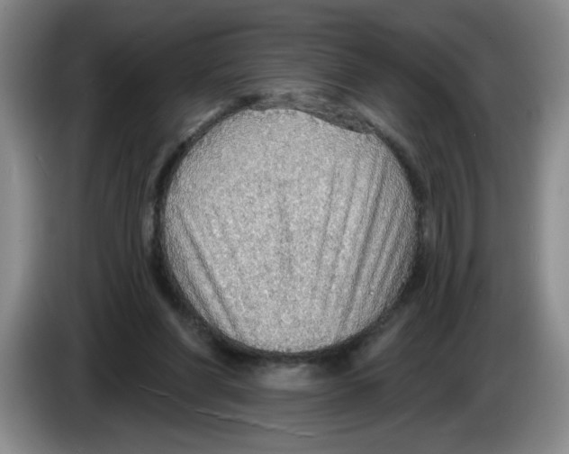 X0000083550206200703091601