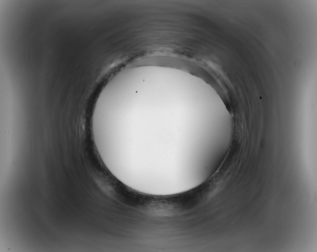 X0000083550207200703091601