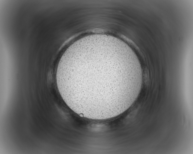X0000083550208200703091601