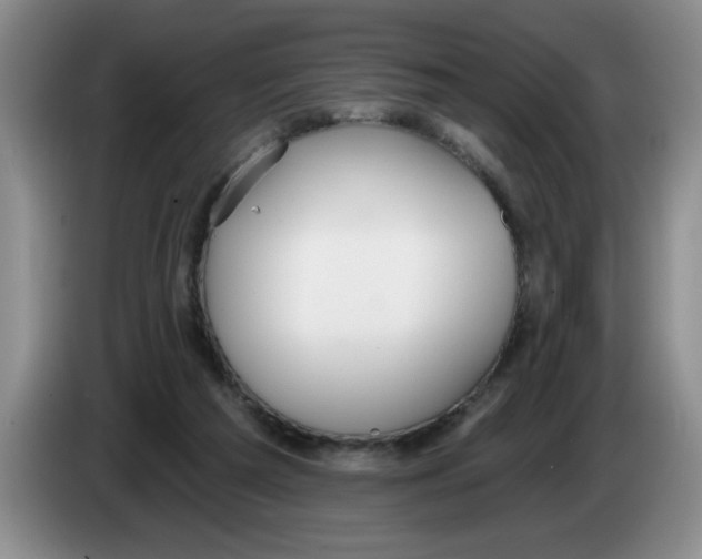 X0000083550209200703091601