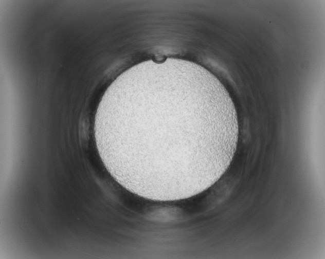 X0000083550210200703091601