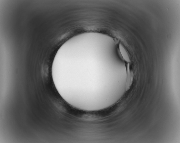 X0000083550211200703091601