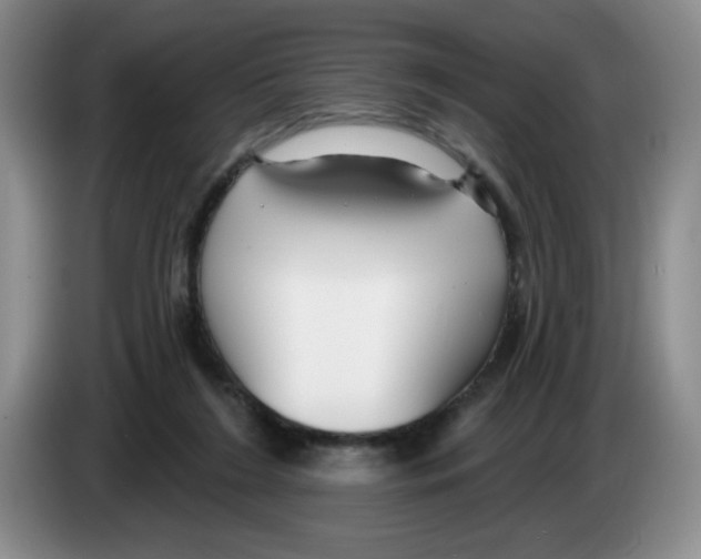 X0000083550212200703091601