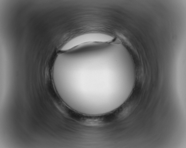X0000083550213200703091601