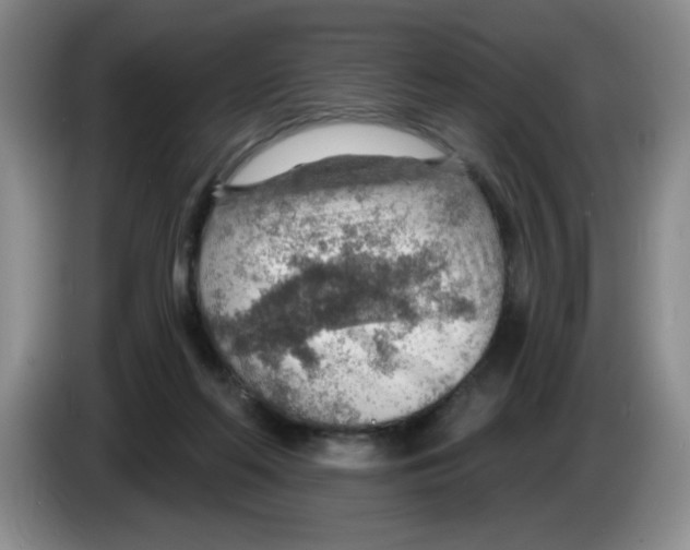 X0000083550214200703091601