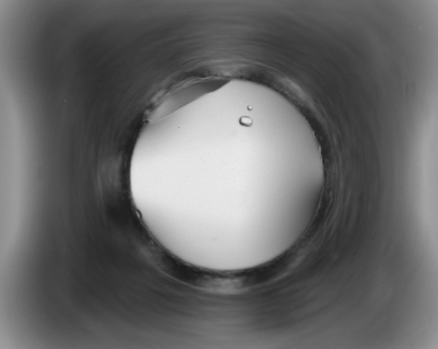 X0000083550217200703091601