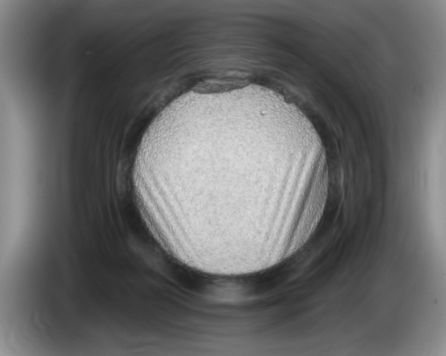 X0000083550218200703091601