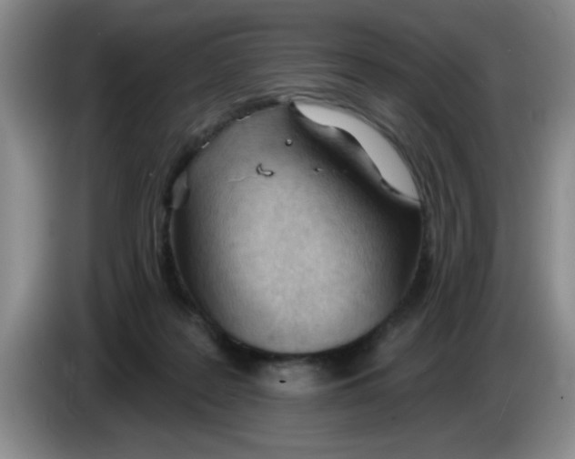 X0000083550219200703091601