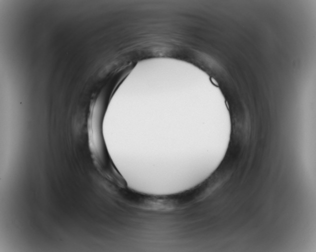 X0000083550221200703091601