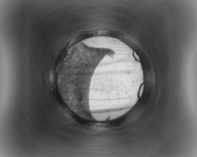 X0000083550222200703091601