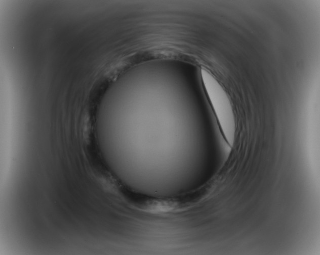 X0000083550223200703091601