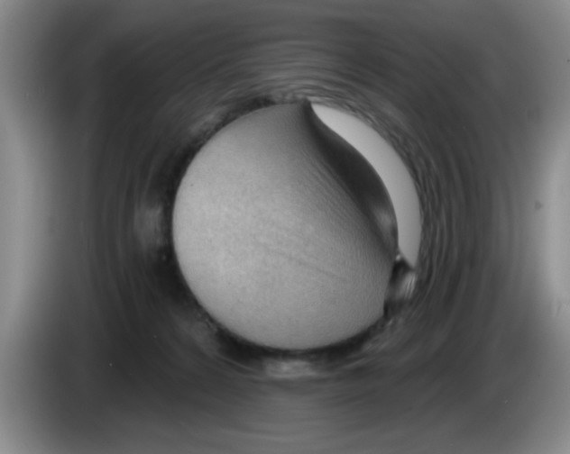 X0000083550224200703091601