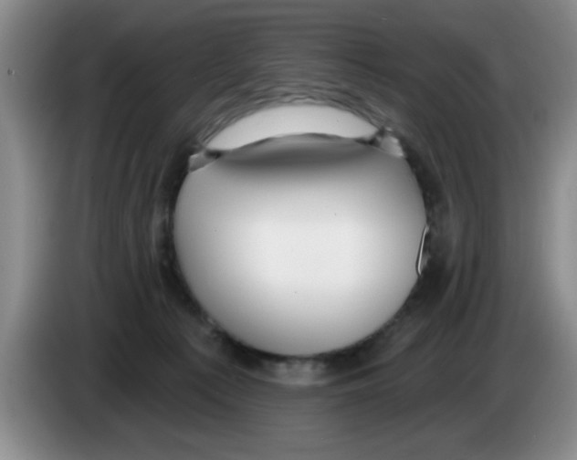 X0000083550225200703091601
