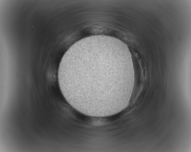 X0000083550226200703091601