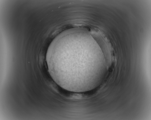X0000083550227200703091601