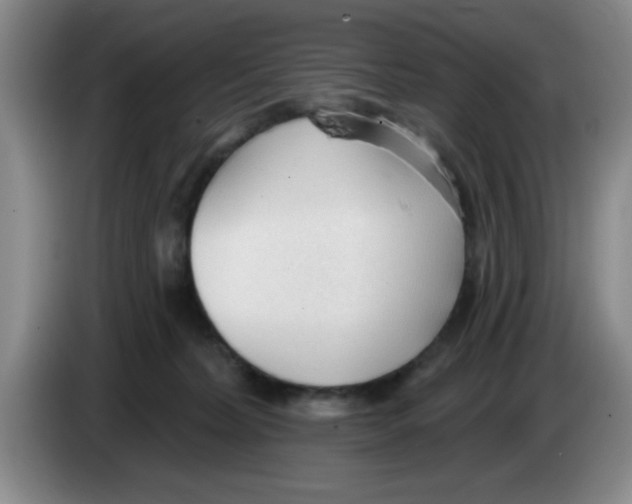 X0000083550228200703091601