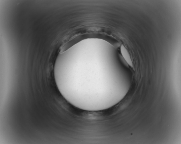 X0000083550229200703091601