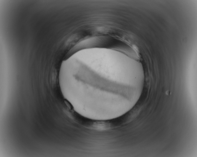 X0000083550231200703091601
