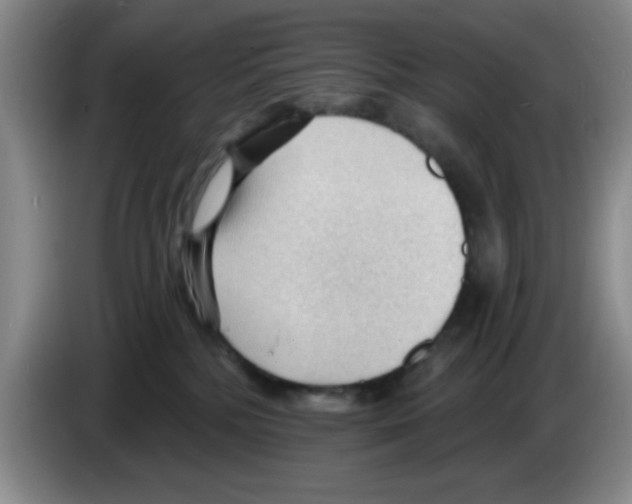X0000083550232200703091601