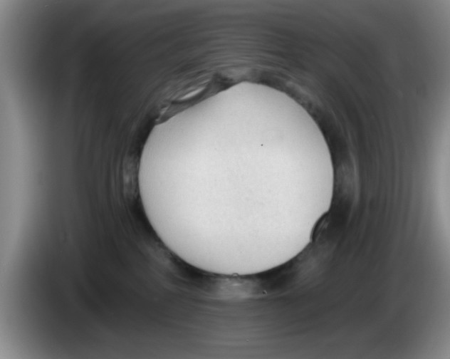 X0000083550234200703091601