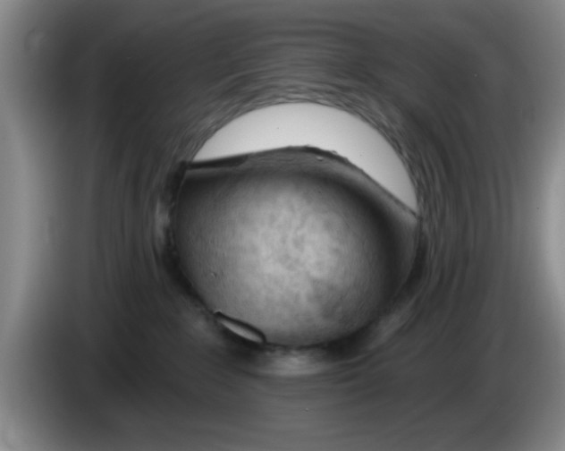 X0000083550235200703091601