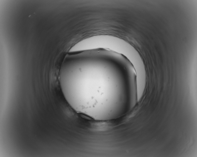 X0000083550237200703091601