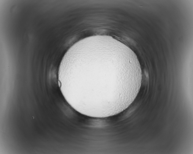 X0000083550238200703091601