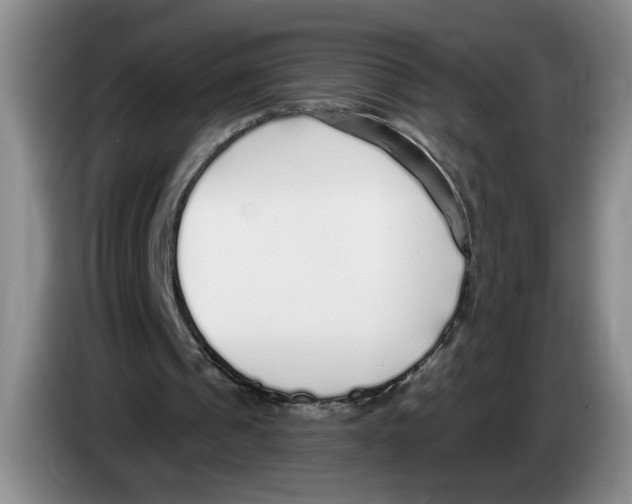 X0000083550241200703091600