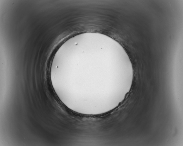 X0000083550242200703091600