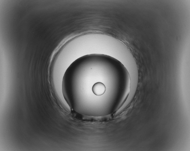 X0000083550244200703091600