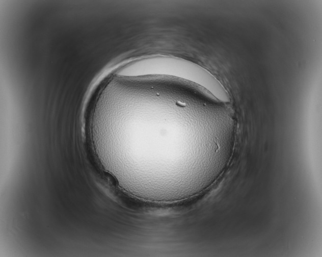 X0000083550246200703091600