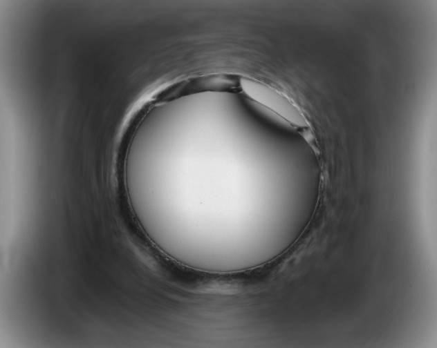 X0000083550248200703091600